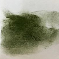 Νο. 169 - ξηρό παστέλ l'ecu Sennelier Moss grey green